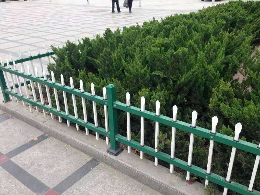 成功案例